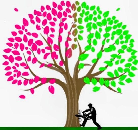Clearview Tree Service